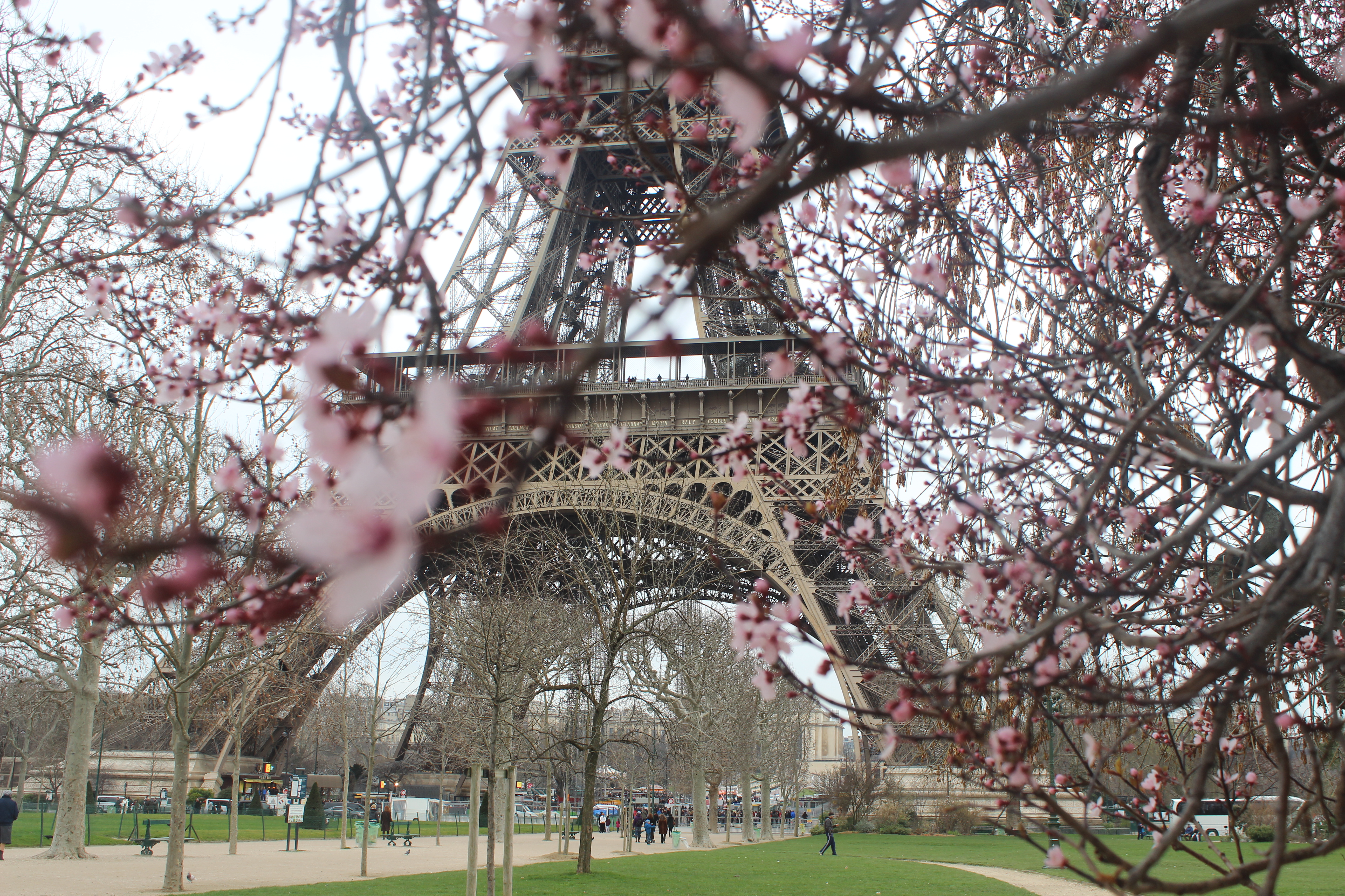 Франция, Париж февраль 2014, Дмитрий и Надежда